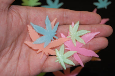 24 Piece Glow in the Dark Multicolor Marijuana Pot Leaves Wall Ceiling Decor